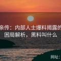 名人亲传：内部人士爆料揭露的黑料困局解析，黑料叫什么