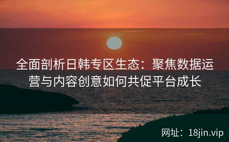 全面剖析日韩专区生态：聚焦数据运营与内容创意如何共促平台成长