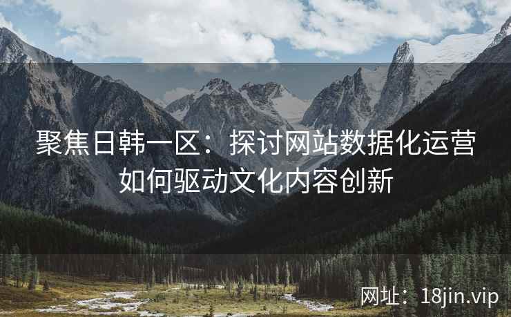 聚焦日韩一区：探讨网站数据化运营如何驱动文化内容创新