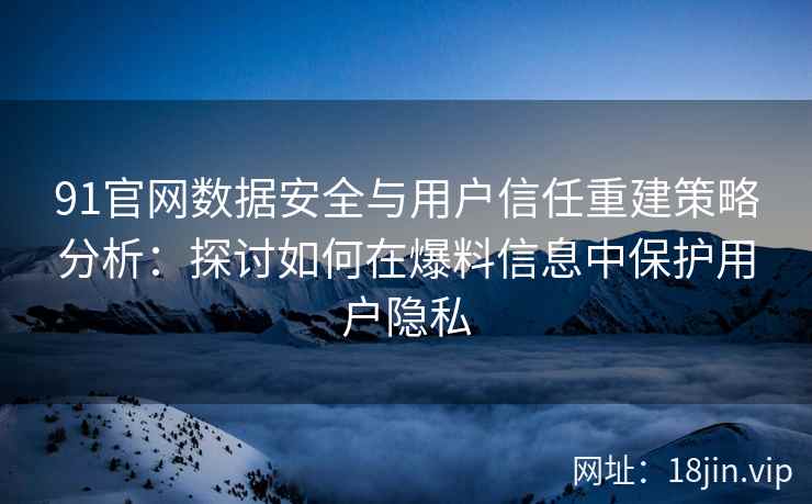91官网数据安全与用户信任重建策略分析：探讨如何在爆料信息中保护用户隐私