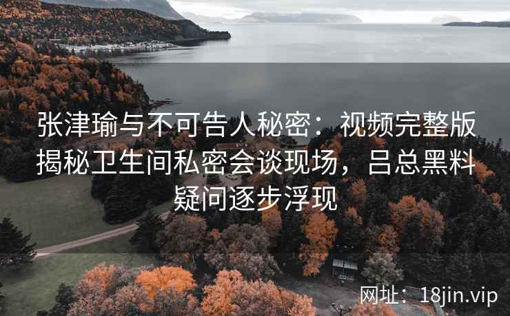 张津瑜与不可告人秘密：视频完整版揭秘卫生间私密会谈现场，吕总黑料疑问逐步浮现